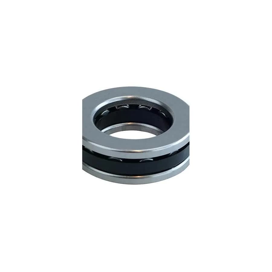 Illustration: Axial Cylindrical Roller Bearing (industrial)