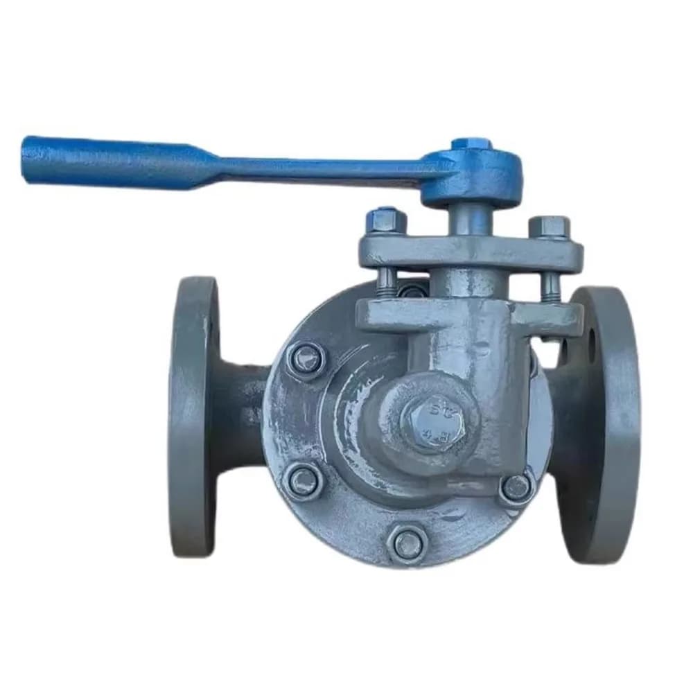 Illustration: Blowdown Valve (industrial)