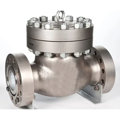 Illustration: Check Valve (industrial)