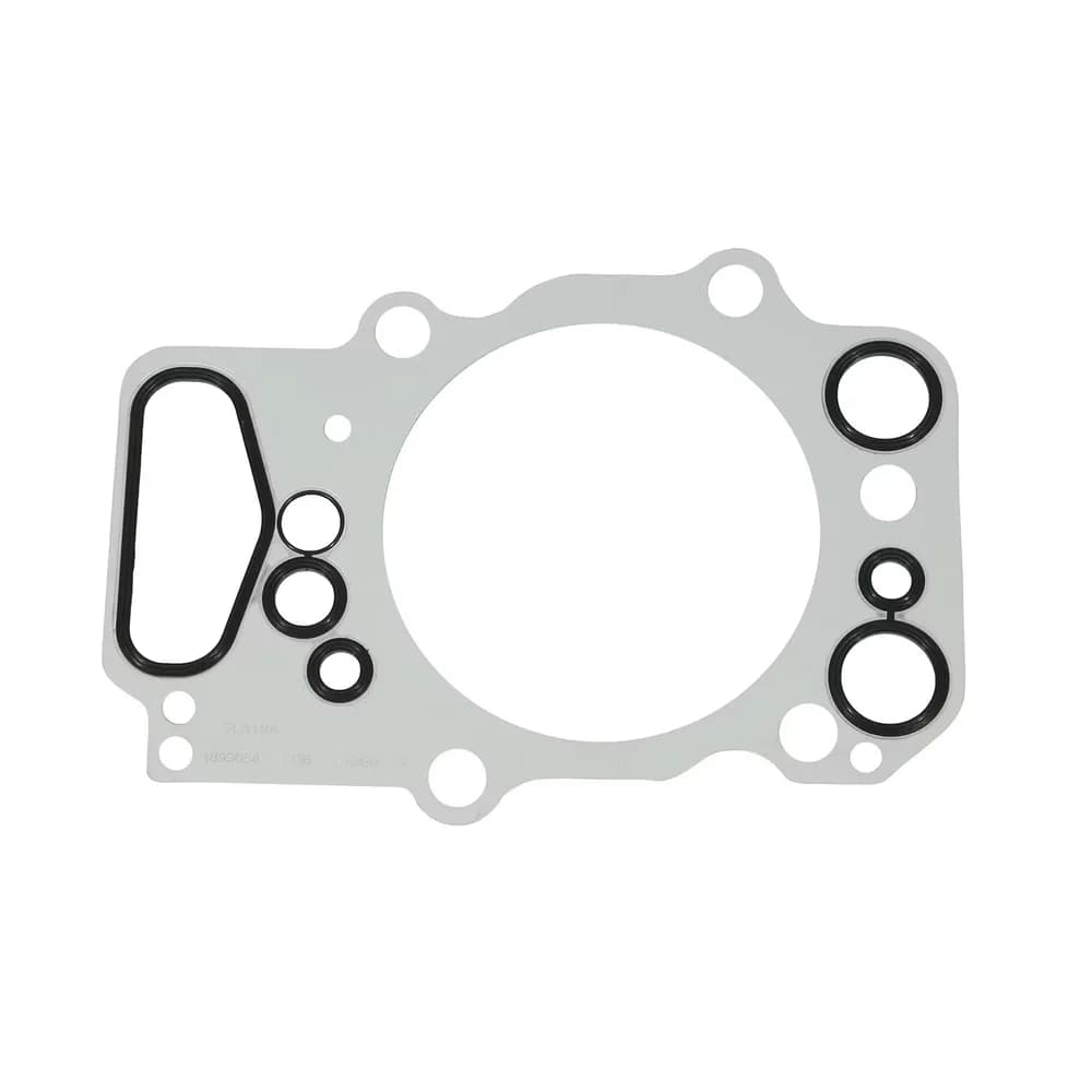 Illustration: Cylinder Gasket (industrial)