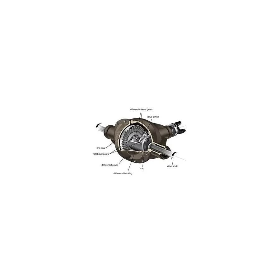 Illustration: Differential Assembly