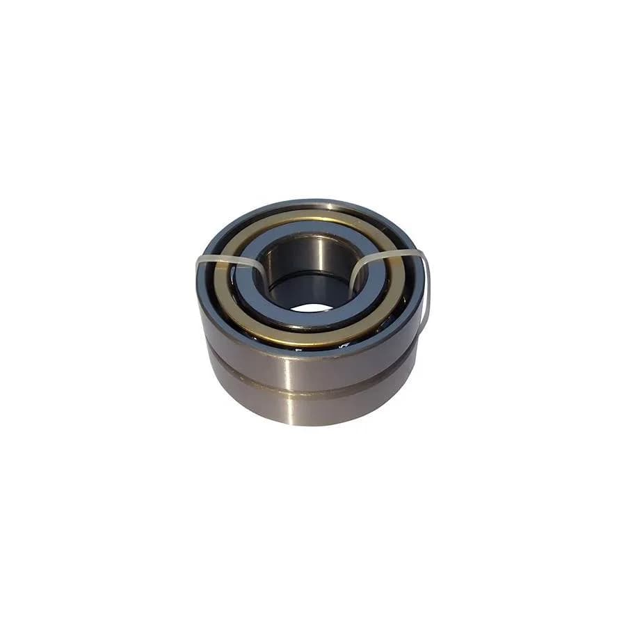 Illustration: Inboard Bearing (industrial)