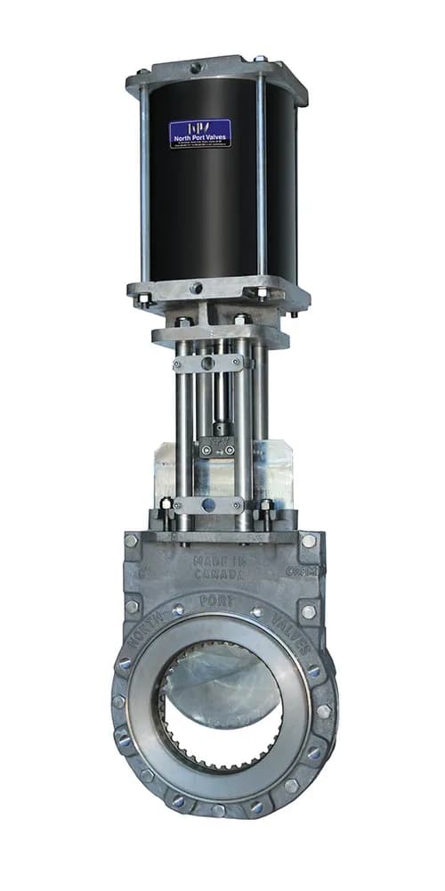 Illustration: Scavenge Valve (industrial)