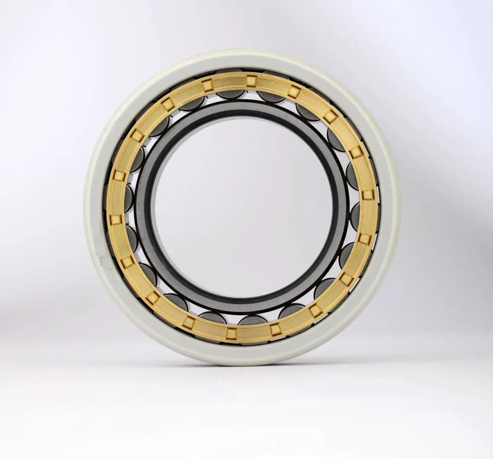 Illustration: Traction Motor Bearing (industrial)