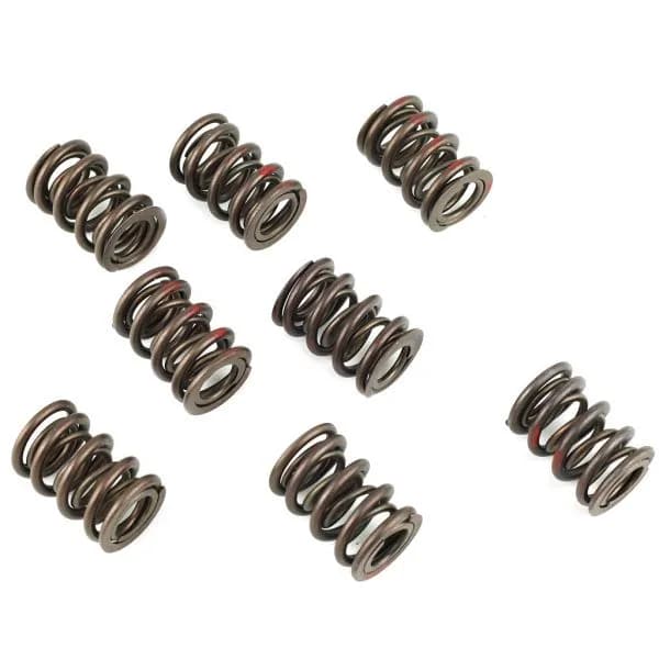 Illustration: Valve Spring (motorcycle)