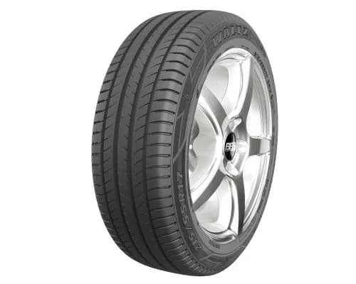 Maxxis MS2 205/55R16 91V